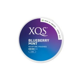 XQS BLUEBERRY MINT